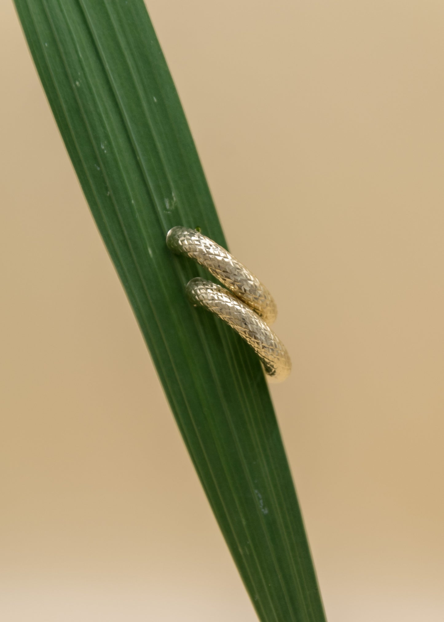 créoles serpent dorées Lyria Mont