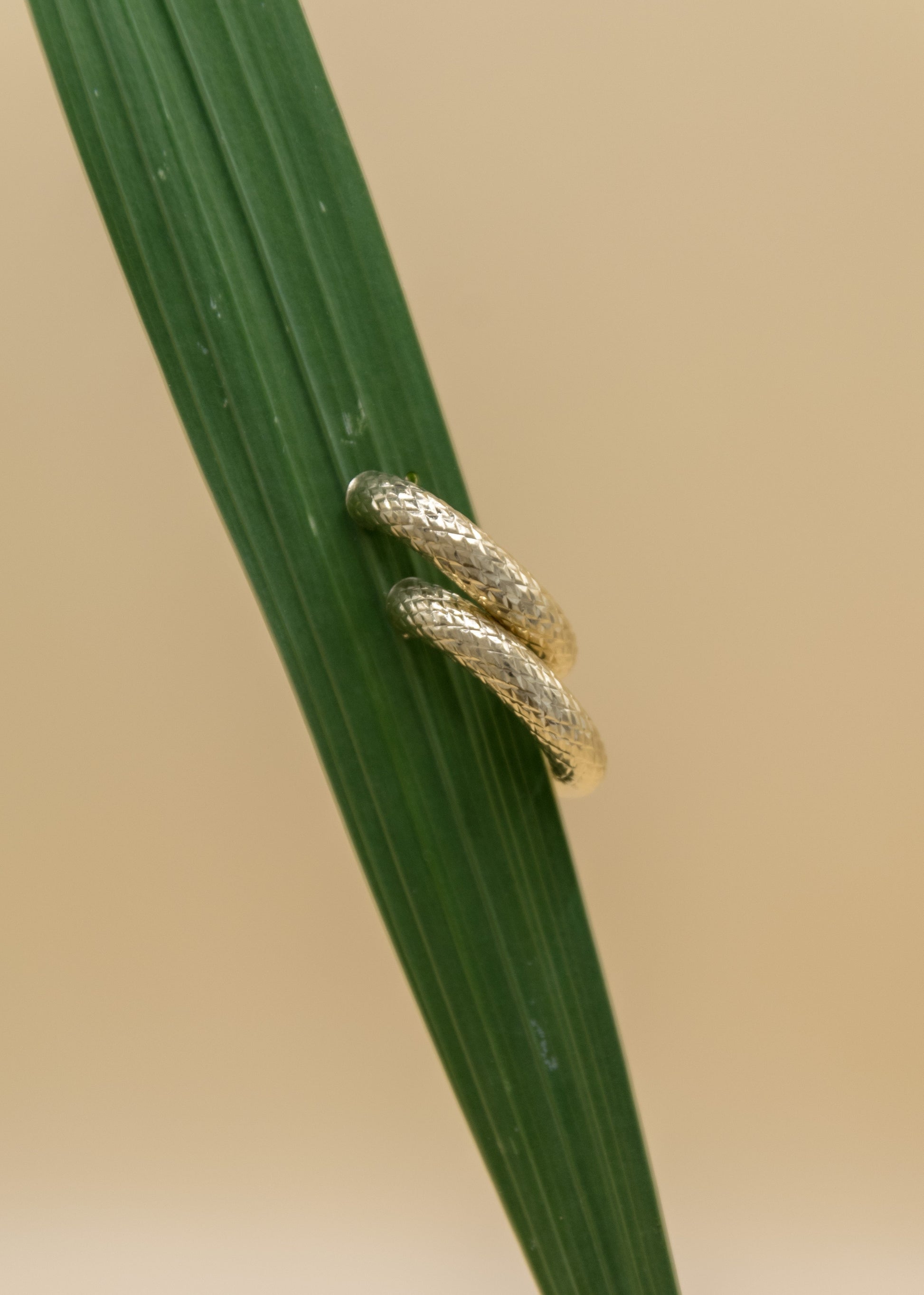 créoles serpent dorées Lyria Mont